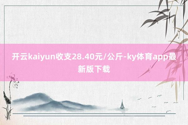 开云kaiyun收支28.40元/公斤-ky体育app最新版下载