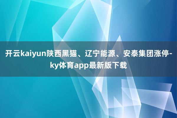 开云kaiyun陕西黑猫、辽宁能源、安泰集团涨停-ky体育app最新版下载